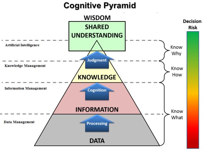 Cognitive Function Pyramid, adapted from Liew (2007).